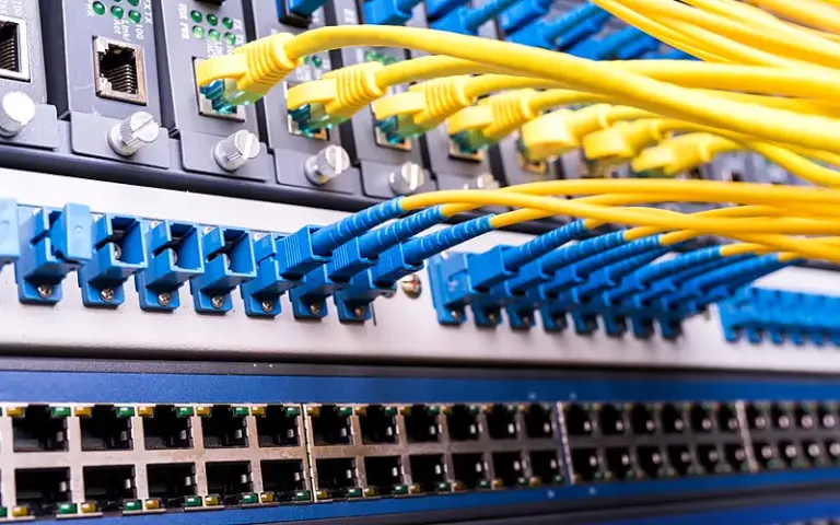 Fiber optic patch cords connected to a patch panel and switch