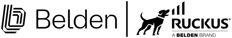 Ruckus Networks